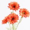Artificial Flower Chrysanthemum 4 single stem GS-82925001_3 Artificial Flower 12*7*63cm Chrysanthemum *4 single stem GS-82925001 2026Feb YeahFlower is one of Chinese leading OEM manufacturers and exporters , supplying the silk flowers, wholesale artificial trees