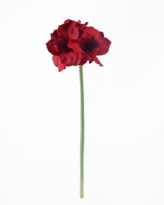 Artificial Flower 25*25*95cm Clivia single stem GS-39124008-R2 2026Apr YeahFlower is one of Chinese leading OEM manufacturers and exporters , supplying the silk flowers, wholesale artificial trees Artificial Flower 25*25*95cm Clivia single stem GS-39124008-R2 2026Apr YeahFlower is one of Chinese leading OEM manufacturers and exporters , supplying the silk flowers, wholesale artificial trees