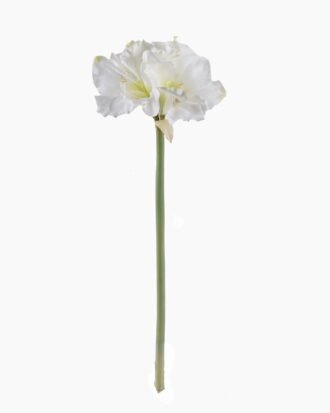 Artificial Flower 25*25*95cm Clivia single stem GS-39124008-R2 2026Apr YeahFlower is one of Chinese leading OEM manufacturers and exporters , supplying the silk flowers, wholesale artificial trees Artificial Flower 25*25*95cm Clivia single stem GS-39124008-R2 2026Apr YeahFlower is one of Chinese leading OEM manufacturers and exporters , supplying the silk flowers, wholesale artificial trees