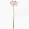 Artificial Flower 22*22*93cm Clivia single stem GS-39125038-P1 2026Apr YeahFlower is one of Chinese leading OEM manufacturers and exporters , supplying the silk flowers, wholesale artificial trees