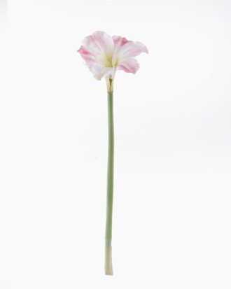 Artificial Flower 22*22*93cm Clivia single stem GS-39125038-P1 2026Apr YeahFlower is one of Chinese leading OEM manufacturers and exporters , supplying the silk flowers, wholesale artificial trees Artificial Flower 22*22*93cm Clivia single stem GS-39125038-P1 2026Apr YeahFlower is one of Chinese leading OEM manufacturers and exporters , supplying the silk flowers, wholesale artificial trees