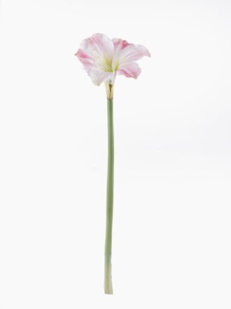 Artificial Flower 36*6*144cm Orchid single stem GS-39125037-Y1 2026Apr 3,000+ sqm showroom with thousands of artificial flowers, plants & trees ready for global sourcing.