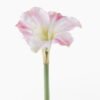 Artificial Flower 22*22*93cm Clivia single stem GS-39125038-P1 2026Apr YeahFlower is one of Chinese leading OEM manufacturers and exporters , supplying the silk flowers, wholesale artificial trees