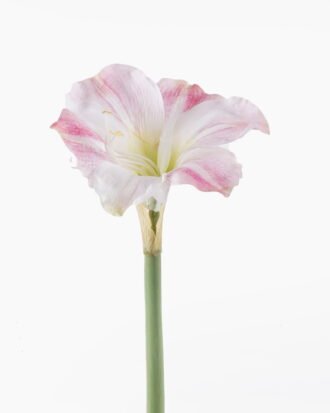 Artificial Flower 22*22*93cm Clivia single stem GS-39125038-P1 2026Apr YeahFlower is one of Chinese leading OEM manufacturers and exporters , supplying the silk flowers, wholesale artificial trees Artificial Flower 22*22*93cm Clivia single stem GS-39125038-P1 2026Apr YeahFlower is one of Chinese leading OEM manufacturers and exporters , supplying the silk flowers, wholesale artificial trees
