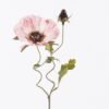 Artificial Flower 22*22*75cm Coquelicot single stem GS-61025006-P2 2026Apr YeahFlower is one of Chinese leading OEM manufacturers and exporters , supplying the silk flowers, wholesale artificial trees