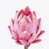 Artificial Flower 9*9*48cm  Cynara scolymus  single stem GS-14525050-P1 2026Mar YeahFlower is one of Chinese leading OEM manufacturers and exporters , supplying the silk flowers, wholesale artificial trees