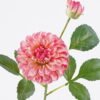 Artificial Flower Dahlia 2 single stem GS-128J24003-R3_4 Artificial Flower 17*17*56cm Dahlia *2 single stem GS-128J24003-R3 2026Mar YeahFlower is one of Chinese leading OEM manufacturers and exporters , supplying the silk flowers, wholesale artificial trees