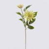 Artificial Flower Dahlia 2 single stem moist real touch GS-82425003_4 Artificial Flower 20*12*68cm Dahlia *2 single stem/moist real touch GS-82425003 2026May 3,000+ sqm showroom with thousands of artificial flowers, plants & trees ready for global sourcing.