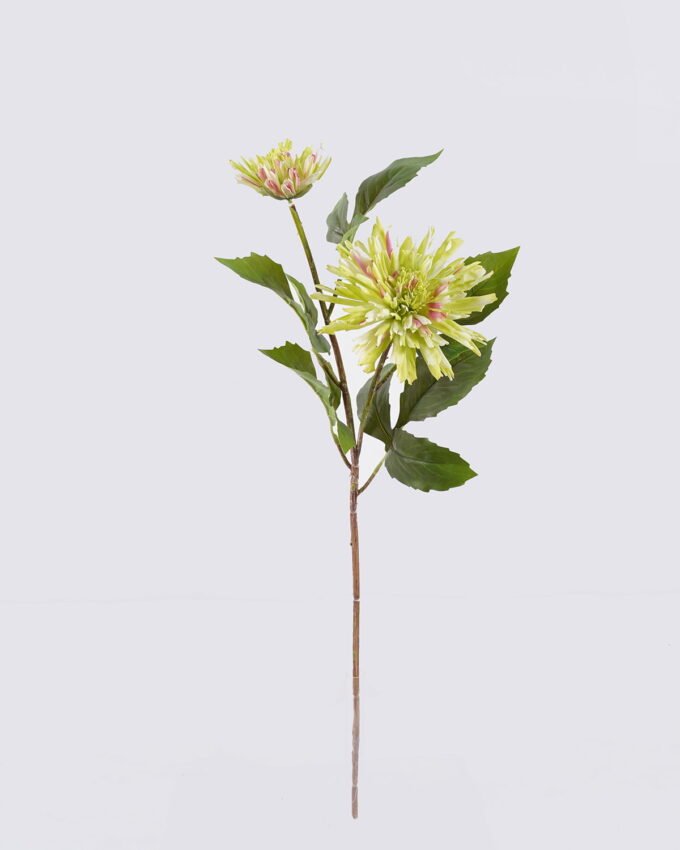 Artificial Flower Dahlia 2 single stem moist real touch GS-82425003_4 Artificial Flower 20*12*68cm Dahlia *2 single stem/moist real touch GS-82425003 2026May 3,000+ sqm showroom with thousands of artificial flowers, plants & trees ready for global sourcing.
