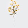 Artificial Flower Flower 18 single stem GS-16825036-Y1_1 Artificial Flower 20*12*73cm Flower *18 single stem GS-16825036-Y1 2026Mar YeahFlower is one of Chinese leading OEM manufacturers and exporters , supplying the silk flowers, wholesale artificial trees