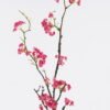 Artificial Flower 13*6*87cm Flower single stem GS-30025026-R1 2026Apr YeahFlower is one of Chinese leading OEM manufacturers and exporters , supplying the silk flowers, wholesale artificial trees