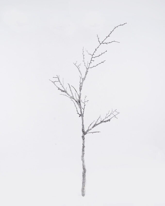 Artificial Flower 13*6*87cm Flower single stem GS-30025026 2026Apr YeahFlower is one of Chinese leading OEM manufacturers and exporters , supplying the silk flowers, wholesale artificial trees