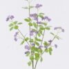 Artificial Flower Fruit 13 single stem GS-77525035-Z1_5 Artificial Flower 10*9*74cm Fruit *13 single stem GS-77525035-Z1 2026May 3,000+ sqm showroom with thousands of artificial flowers, plants & trees ready for global sourcing.