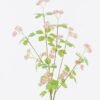 Artificial Flower Fruit 13 single stem GS-77525035_2 Artificial Flower 10*9*74cm Fruit *13 single stem GS-77525035 2026May 3,000+ sqm showroom with thousands of artificial flowers, plants & trees ready for global sourcing.