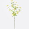 Artificial Flower Fruit 13 single stem GS-77525035_5 Artificial Flower 10*9*74cm Fruit *13 single stem GS-77525035 2026May 3,000+ sqm showroom with thousands of artificial flowers, plants & trees ready for global sourcing.
