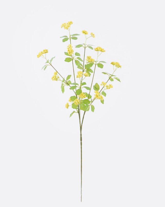 Artificial Flower Fruit 13 single stem GS-77525035_5 Artificial Flower 10*9*74cm Fruit *13 single stem GS-77525035 2026May 3,000+ sqm showroom with thousands of artificial flowers, plants & trees ready for global sourcing.