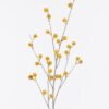 Artificial Flower 24*9*98cm Fruit *31 single stem GS-77525019-Y2 2026May 3,000+ sqm showroom with thousands of artificial flowers, plants & trees ready for global sourcing.