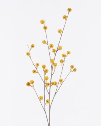 Artificial Flower 24*9*98cm Fruit *31 single stem GS-77525019-Y2 2026May 3,000+ sqm showroom with thousands of artificial flowers, plants & trees ready for global sourcing. Artificial Flower 24*9*98cm Fruit *31 single stem GS-77525019-Y2 2026May 3,000+ sqm showroom with thousands of artificial flowers, plants & trees ready for global sourcing.