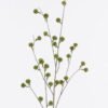 Artificial Flower Fruit 31 single stem GS-77525019_2 Artificial Flower 24*9*98cm Fruit *31 single stem GS-77525019 2026May 3,000+ sqm showroom with thousands of artificial flowers, plants & trees ready for global sourcing.