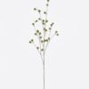 Artificial Flower Fruit 31 single stem GS-77525019_3 Artificial Flower 24*9*98cm Fruit *31 single stem GS-77525019 2026May 3,000+ sqm showroom with thousands of artificial flowers, plants & trees ready for global sourcing.