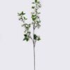 Artificial Flower Fruit single stem GS-77725024_4 Artificial Flower 20*7*88cm Fruit single stem GS-77725024 2026May 3,000+ sqm showroom with thousands of artificial flowers, plants & trees ready for global sourcing.