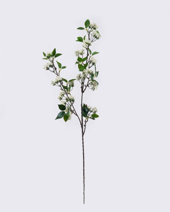 Artificial Flower Fruit single stem GS-77725024_4 Artificial Flower 20*7*88cm Fruit single stem GS-77725024 2026May 3,000+ sqm showroom with thousands of artificial flowers, plants & trees ready for global sourcing.