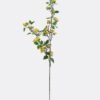 Artificial Flower Fruit single stem GS-77725024_5 Artificial Flower 20*7*88cm Fruit single stem GS-77725024 2026May 3,000+ sqm showroom with thousands of artificial flowers, plants & trees ready for global sourcing.