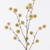 Artificial Flower 23*6*88cm  Hairball branch single stem GS-29425043 2026Apr YeahFlower is one of Chinese leading OEM manufacturers and exporters , supplying the silk flowers, wholesale artificial trees