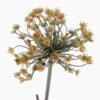 Artificial Flower 20*20*56cm  Heracleum single stem GS-15425102-G1 2026Mar YeahFlower is one of Chinese leading OEM manufacturers and exporters , supplying the silk flowers, wholesale artificial trees