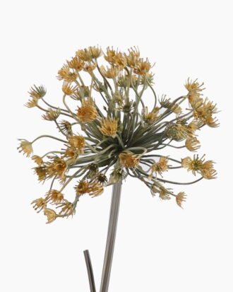 Artificial Flower 20*20*56cm  Heracleum single stem GS-15425102-G1 2026Mar YeahFlower is one of Chinese leading OEM manufacturers and exporters , supplying the silk flowers, wholesale artificial trees
