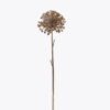 Artificial Flower 21*21*96cm  Heracleum single stem GS-15425103CH-J1 2026Mar YeahFlower is one of Chinese leading OEM manufacturers and exporters , supplying the silk flowers, wholesale artificial trees