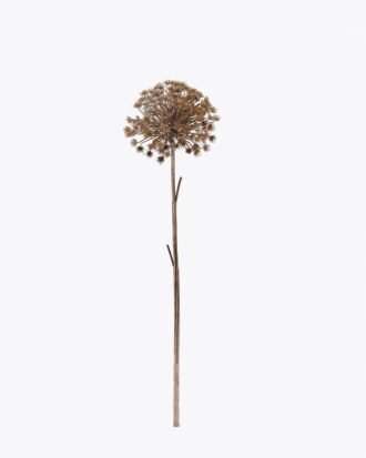 Artificial Flower 21*21*96cm Heracleum single stem GS-15425103CH-J1 2026Mar YeahFlower is one of Chinese leading OEM manufacturers and exporters , supplying the silk flowers, wholesale artificial trees Artificial Flower 21*21*96cm Heracleum single stem GS-15425103CH-J1 2026Mar YeahFlower is one of Chinese leading OEM manufacturers and exporters , supplying the silk flowers, wholesale artificial trees