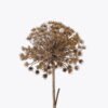 Artificial Flower 21*21*96cm  Heracleum single stem GS-15425103CH-J1 2026Mar YeahFlower is one of Chinese leading OEM manufacturers and exporters , supplying the silk flowers, wholesale artificial trees