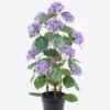 Artificial Flower 35*35*80cm Hydrangea *3 in PP pot GS-15425096JJA 2026Mar YeahFlower is one of Chinese leading OEM manufacturers and exporters , supplying the silk flowers, wholesale artificial trees