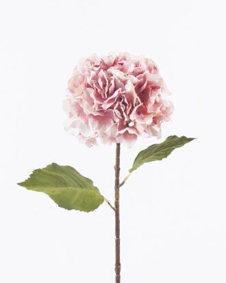 Artificial Flower 20*20*70cm Hydrangea single stem GS-27925049-P2 2026Mar YeahFlower is one of Chinese leading OEM manufacturers and exporters , supplying the silk flowers, wholesale artificial trees Artificial Flower 20*20*70cm Hydrangea single stem GS-27925049-P2 2026Mar YeahFlower is one of Chinese leading OEM manufacturers and exporters , supplying the silk flowers, wholesale artificial trees