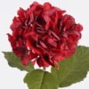 Artificial Flower 20*20*70cm Hydrangea single stem GS-27925049-R1 2026Mar YeahFlower is one of Chinese leading OEM manufacturers and exporters , supplying the silk flowers, wholesale artificial trees