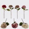 Artificial Flower Hydrangea single stem GS-27925050_1 Artificial Flower 20*20*51cm Hydrangea single stem GS-27925050 2026Mar YeahFlower is one of Chinese leading OEM manufacturers and exporters , supplying the silk flowers, wholesale artificial trees