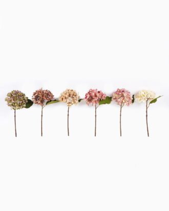 Artificial Flower 16*16*36cm Hydrangea single stem GS-27925054 2026Mar YeahFlower is one of Chinese leading OEM manufacturers and exporters , supplying the silk flowers, wholesale artificial trees Artificial Flower 16*16*36cm Hydrangea single stem GS-27925054 2026Mar YeahFlower is one of Chinese leading OEM manufacturers and exporters , supplying the silk flowers, wholesale artificial trees
