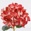 Artificial Flower Hydrangea single stem moist real touch GS-82425001-R2_5 Artificial Flower 18*15*50cm Hydrangea single stem/moist real touch GS-82425001-R2 2026May 3,000+ sqm showroom with thousands of artificial flowers, plants & trees ready for global sourcing.
