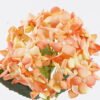 Artificial Flower Hydrangea single stem moist real touch GS-82425001_2 Artificial Flower 18*15*50cm Hydrangea single stem/moist real touch GS-82425001 2026May 3,000+ sqm showroom with thousands of artificial flowers, plants & trees ready for global sourcing.