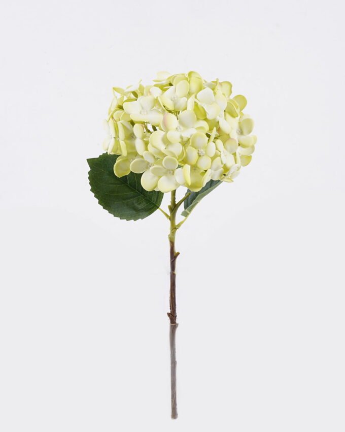 Artificial Flower Hydrangea single stem moist real touch GS-82425001_4 Artificial Flower 18*15*50cm Hydrangea single stem/moist real touch GS-82425001 2026May 3,000+ sqm showroom with thousands of artificial flowers, plants & trees ready for global sourcing.