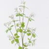 Artificial Flower 15*9*74cm Krameriaceae *13 single stem GS-77525017 2026May 3,000+ sqm showroom with thousands of artificial flowers, plants & trees ready for global sourcing.