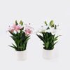 Artificial Flower 31*26*43cm Lily *6 in PP pot/45 lvs GS-30625021 2026Apr YeahFlower is one of Chinese leading OEM manufacturers and exporters , supplying the silk flowers, wholesale artificial trees