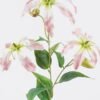 Artificial Flower 23*23*81cm Lily single stem GS-73825016 2026May 3,000+ sqm showroom with thousands of artificial flowers, plants & trees ready for global sourcing.