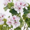 Artificial Flower 24*14*49cm Malus spectabilis bush GS-50025001 2026Apr YeahFlower is one of Chinese leading OEM manufacturers and exporters , supplying the silk flowers, wholesale artificial trees