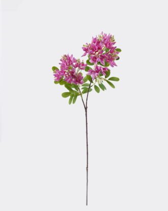 Artificial Flower 20*20*72cm Michelia figo single stem GS-73825021-R1 2026May 3,000+ sqm showroom with thousands of artificial flowers, plants & trees ready for global sourcing.