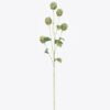 Artificial Flower Onion Ball 6 single stem GS-77525024_4 Artificial Flower 10*8*85cm Onion Ball *6 single stem GS-77525024 2026May 3,000+ sqm showroom with thousands of artificial flowers, plants & trees ready for global sourcing.