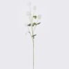 Artificial Flower Onion Ball 6 single stem GS-77525024_5 Artificial Flower 10*8*85cm Onion Ball *6 single stem GS-77525024 2026May 3,000+ sqm showroom with thousands of artificial flowers, plants & trees ready for global sourcing.