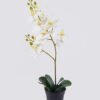 Artificial Flower 30*23*58cm Orchid in PP pot GS-03325048R-W1 2026Mar YeahFlower is one of Chinese leading OEM manufacturers and exporters , supplying the silk flowers, wholesale artificial trees