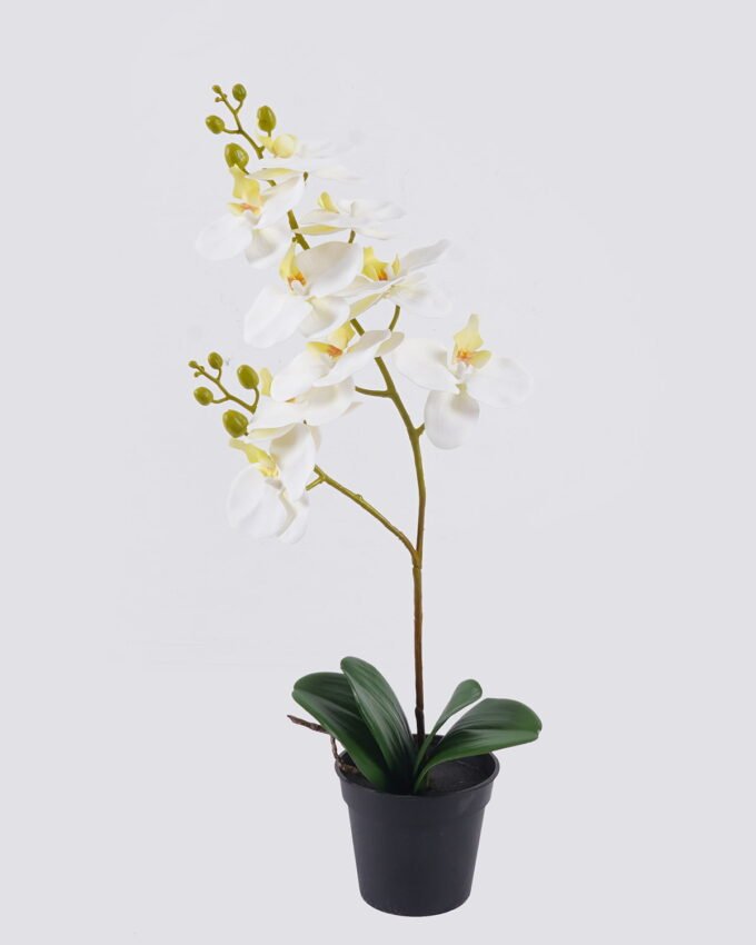 Artificial Flower 30*23*58cm Orchid in PP pot GS-03325048R-W1 2026Mar YeahFlower is one of Chinese leading OEM manufacturers and exporters , supplying the silk flowers, wholesale artificial trees